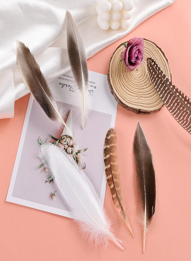 MAOFENG 20pcs Natural Pheasant Feathers 5 Styles 5-9 inches 13-23cm for DIY Craft Wedding Home Party Hat Floral Arrangements Decorations - Image 5