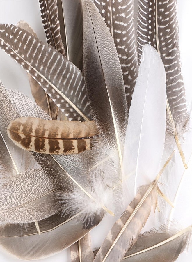 MAOFENG 20pcs Natural Pheasant Feathers 5 Styles 5-9 inches 13-23cm for DIY Craft Wedding Home Party Hat Floral Arrangements Decorations - Image 4
