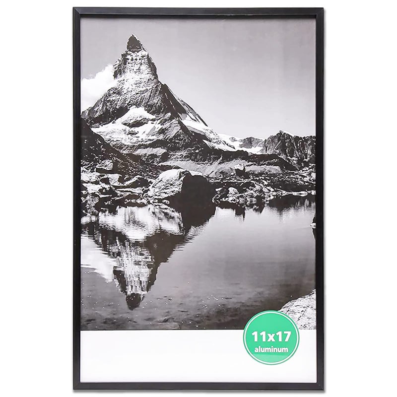 TheDisplayGuys For Your Modern Living TheDisplayGuys  Contemporary Aluminum Picture Frame  Tempered Glass  11x17 Tall Poster  Black  Wall Hanging 