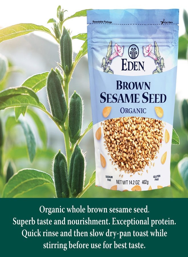 Eden Organic Brown Sesame Seed, Unhulled & Raw, 14.2 oz - Image 3