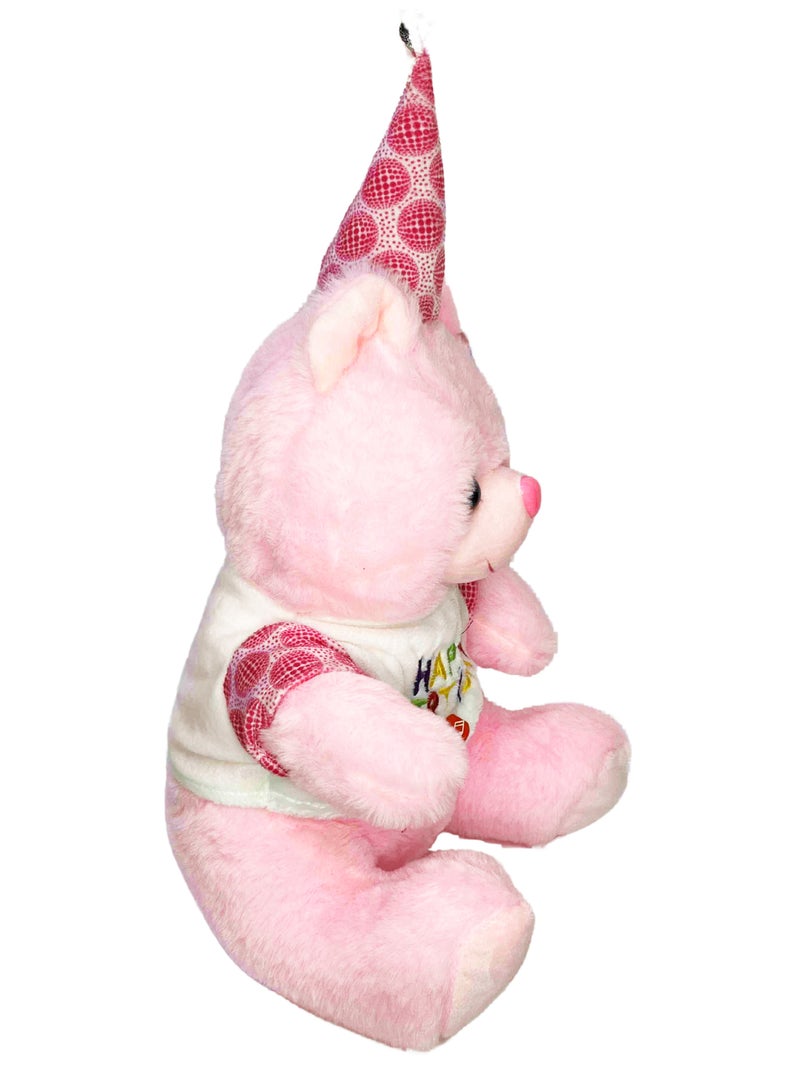 Lukadah Pink Teddy Bear with Party Hat and Happy Birthday Shirt  - Image 2