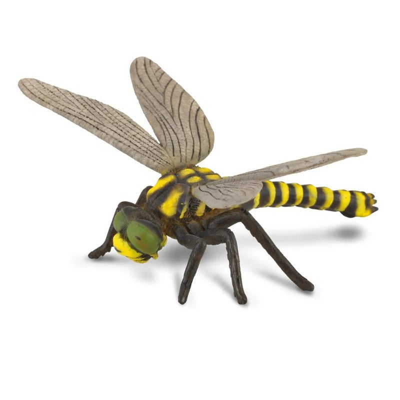 Collecta - Golden Ringed Dragonfly - 88350
