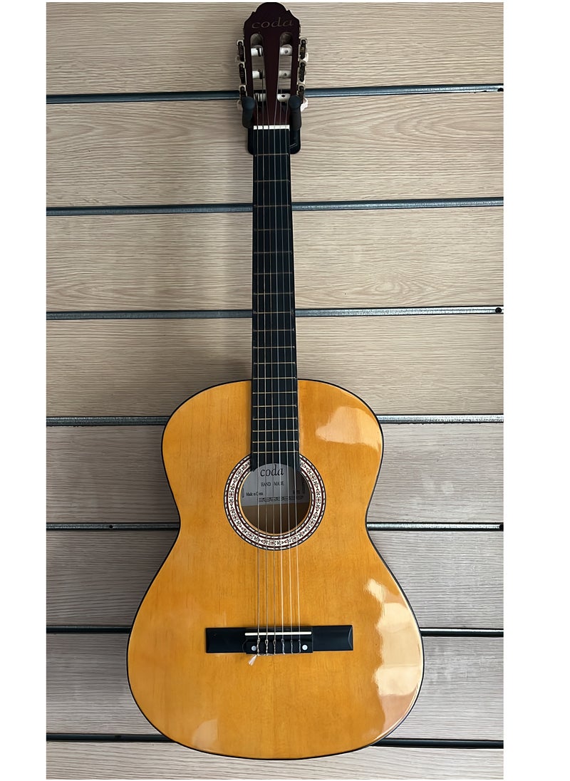 Coda - Handmade Coda Guitar - Image 1