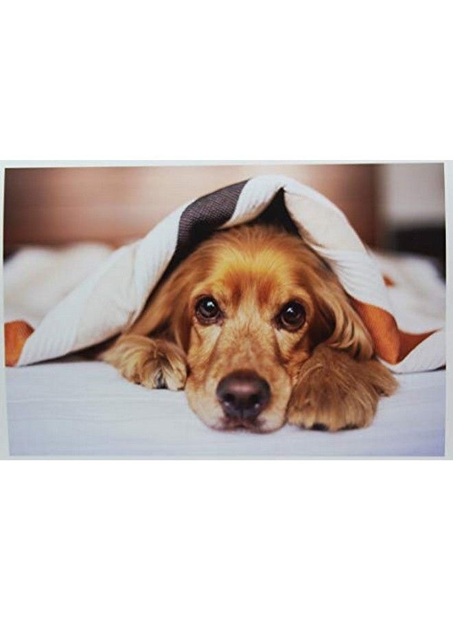 ppd Ppd 50 Sheets Inkjet Super Premium Glossy Photo Paper 11X17 68Lbs 255Gsm 10.5Mil Tabloid Size Microporous Professional Photographer Grade Instant Dry Fade And Water Resistant (Ppd1650)  - Image 4