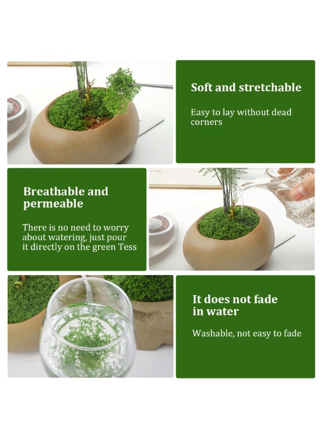 Mordely 100G Fake Moss, Faux Moss for Plants Indoor, Artificial Moss for Indoor Plants, Green Moss for Plants Indoor Art Landscape, Gardening Decor, DIY Projects (Dark Green) - Image 5
