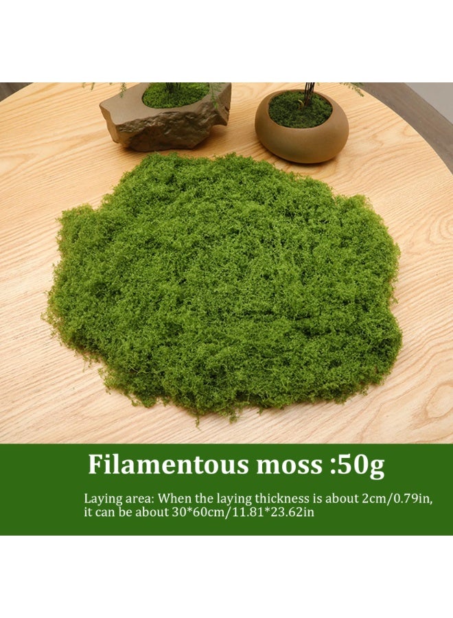 Mordely 100G Fake Moss, Faux Moss for Plants Indoor, Artificial Moss for Indoor Plants, Green Moss for Plants Indoor Art Landscape, Gardening Decor, DIY Projects (Dark Green) - Image 3