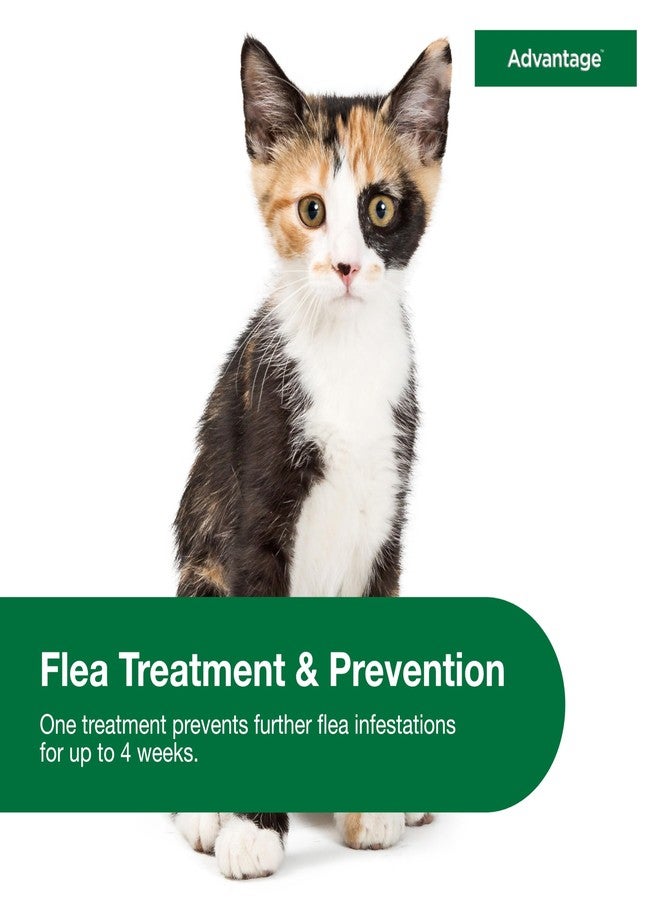 Advantage Topical Cat Flea Treatment and Prevention for Small Cats 2-9 lbs. | Apply Flea Drops Monthly | 2 Treatments - Image 4
