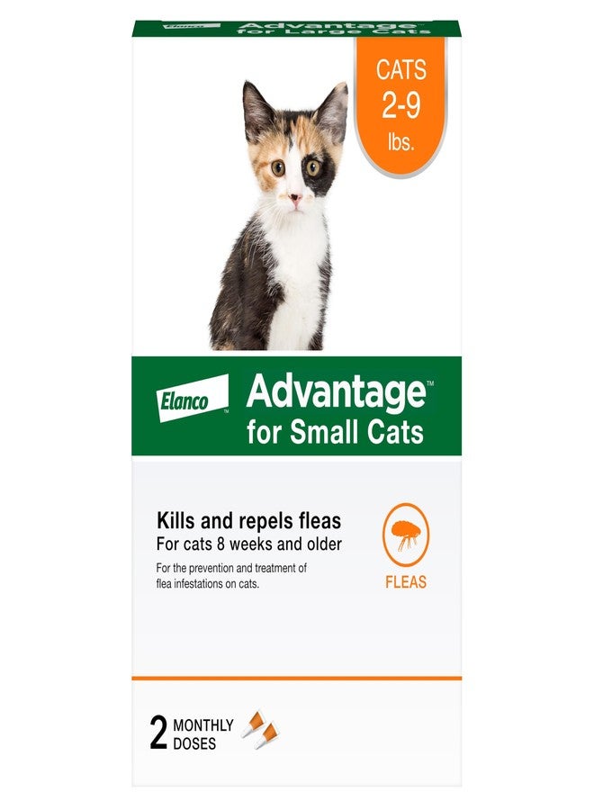 Advantage Topical Cat Flea Treatment and Prevention for Small Cats 2-9 lbs. | Apply Flea Drops Monthly | 2 Treatments - Image 1