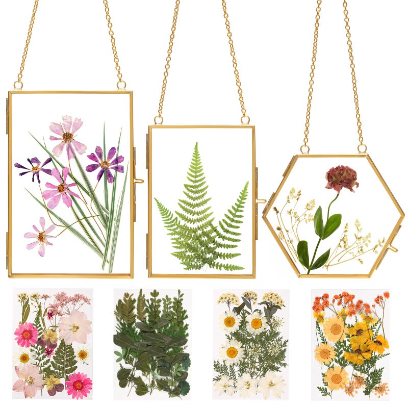 Double Glass Frame for Pressed Flowers  wReal Dried Flowers and Tweezer for Handicrafts Photo or Other Small Flat Items