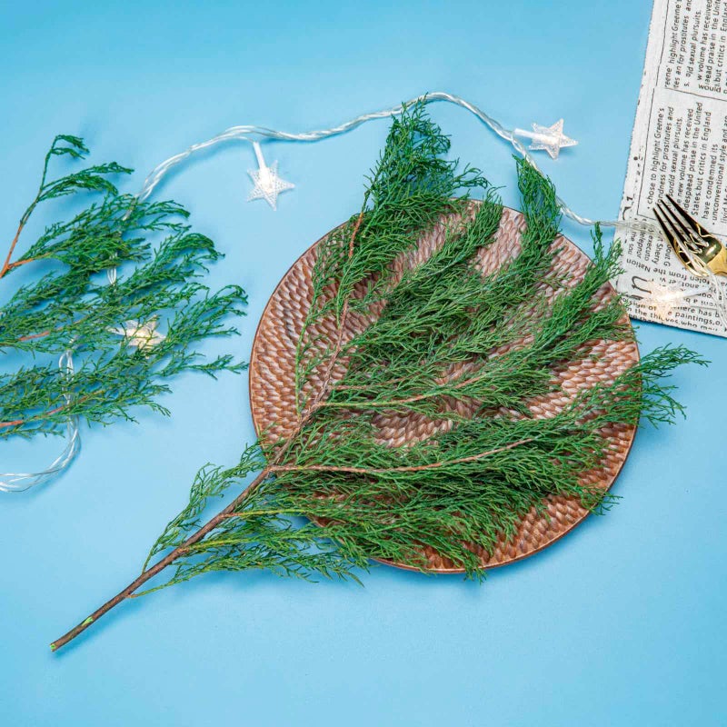 Tavkite 4OZ Preserved Real Pine Leaves Branches -17'' Natural Greenery Plants Twigs Stems Pine Needles Evergreen Picks for Garland Wreath Xmas Wedding Home Party Decor Indoor Outdoor Decoration - Image 3