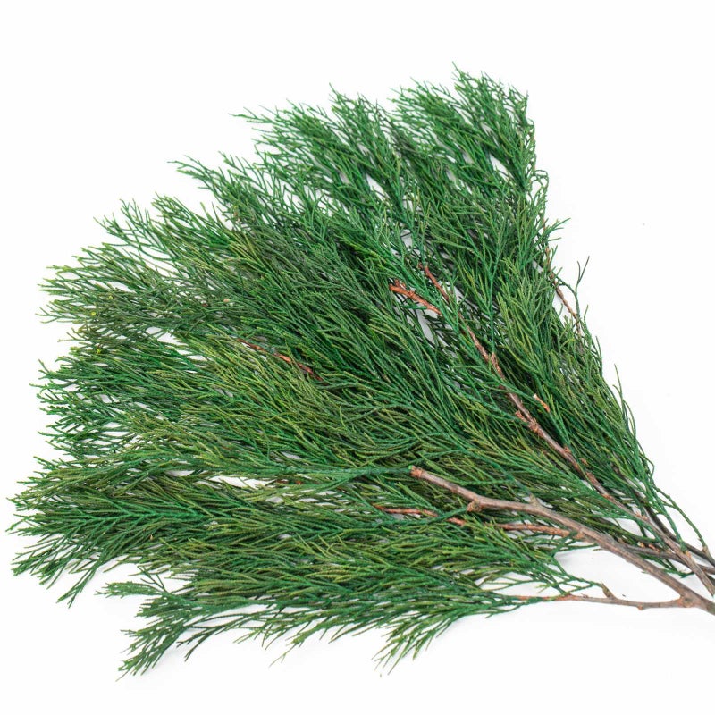 Tavkite 4OZ Preserved Real Pine Leaves Branches -17'' Natural Greenery Plants Twigs Stems Pine Needles Evergreen Picks for Garland Wreath Xmas Wedding Home Party Decor Indoor Outdoor Decoration - Image 1