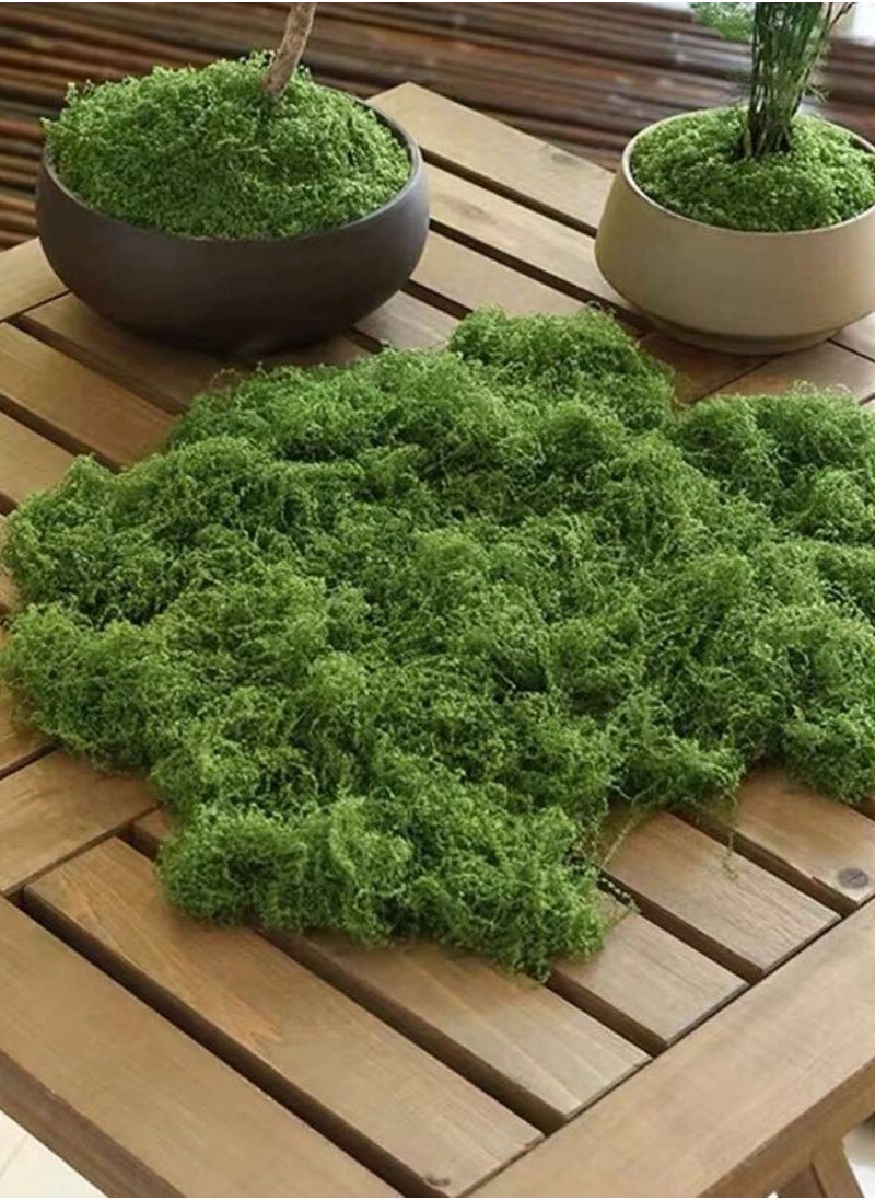 ماركة غير محددة محاكاة موس ، موس الاصطناعي بيونيك الاصطناعي موس ، موس الأخضر الصغير زخرفة المناظر الطبيعية ، ديي الحديقة بوعاء النباتات تزيين المناظر الطبيعية ، في الهواء الطلق حديقة الديكور  - Image 2