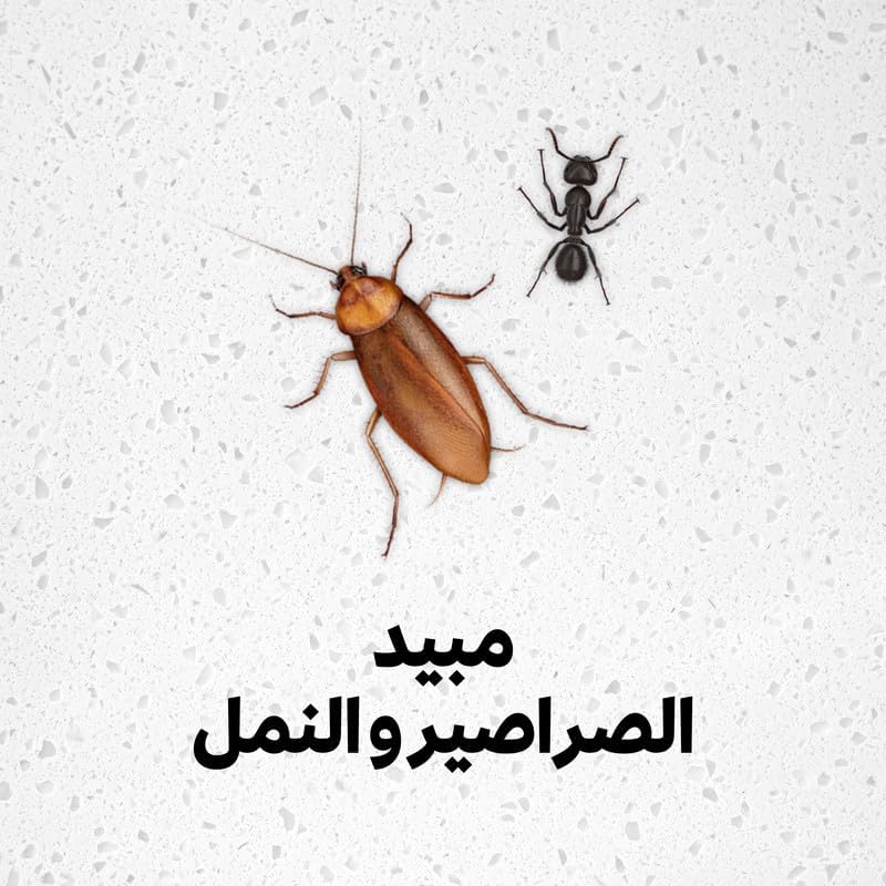Baygon Cockroach & Ant Killer Spray - Pest Control for Roaches, Ants & Ticks - Long-Lasting Formula with Direct Targeting System for Thorough Home Protection, 400ml - Image 2