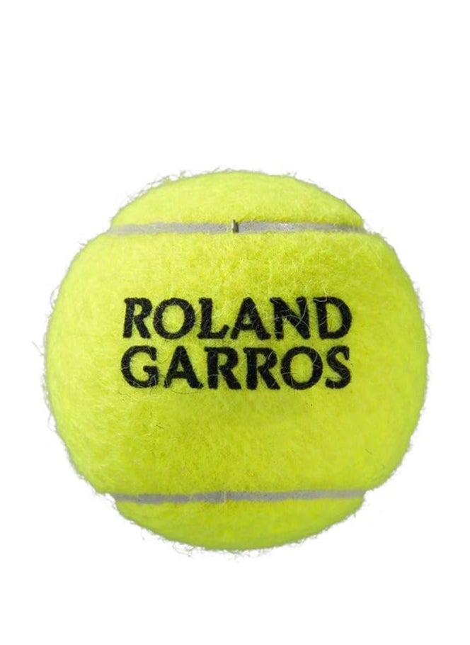 Wilson Unisex-Adult Roland Garros All Court Tennis Ball, Yellow - pzsku/ZF4FBAE3A635016BE196EZ/45/_/1719263429/9183b2c3-ba83-42b8-82d2-80181f931eae