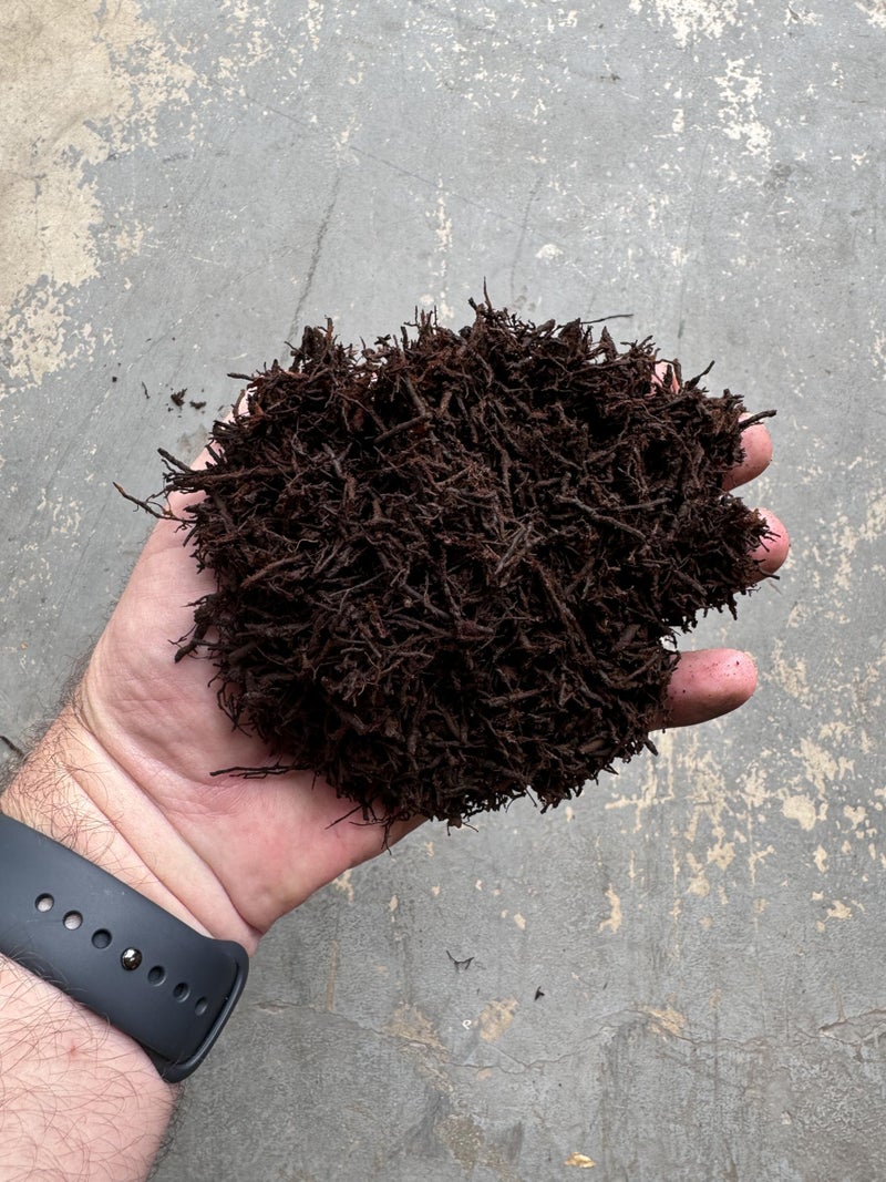 Tezula Plants Premium Gritty New Zealand Tree Fern Fiber Growing Medium and Reptile Substrate- Natural, Organic, Long Lasting | for Orchids and Tropicals | Use in Terrariums and Vivariums (1 Gallon) - Image 3