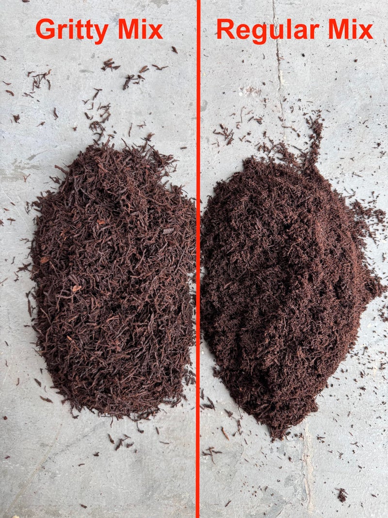 Tezula Plants Premium Gritty New Zealand Tree Fern Fiber Growing Medium and Reptile Substrate- Natural, Organic, Long Lasting | for Orchids and Tropicals | Use in Terrariums and Vivariums (1 Gallon) - Image 2