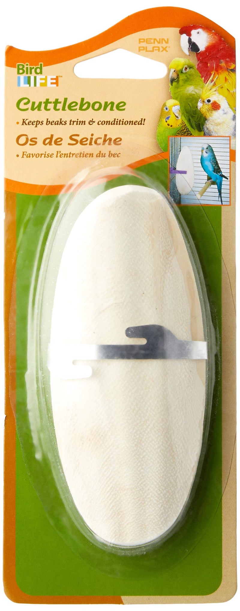 Penn Plax Penn-Plax Cuttlebone for Birds and Parakeets - Natural Cuddlefish Bones for Tortoise and Snails - with Holder - Medium - Image 3