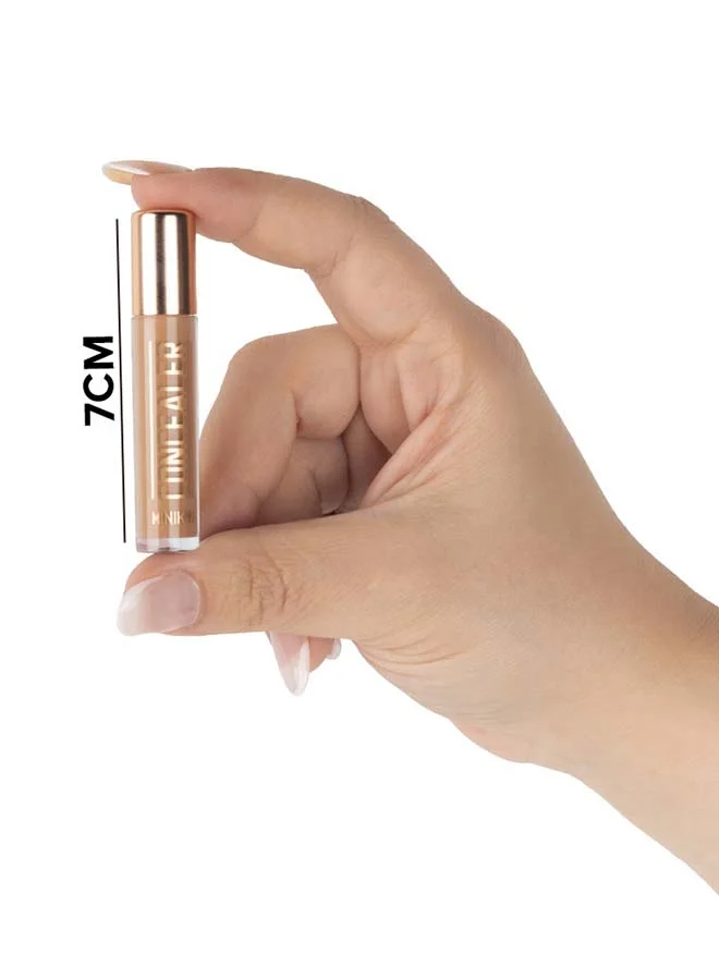 كاركتر كونسيلر مصغر بيج