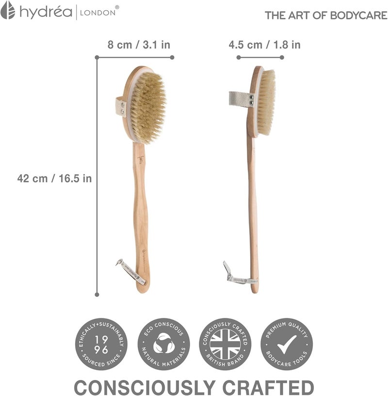 Hydrea London Natural Bristle Body Brush Back Scrubber with Removable Long Handle - Eco-Friendly Beechwood Exfoliating Shower Brush - Image 5