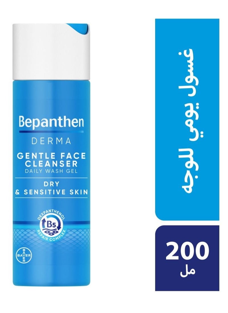 Derma Daily Facial Cleansing Gel Dry Skin 200ml - pzsku/ZF50373D9040F1130CE37Z/45/_/1675324111/6d42dcca-ede3-419a-b706-78fe22ba31fc