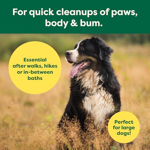 Earth Rated XL Pet Wipes for Dogs & Cats, 3-in-1 Hypoallergenic Cleaning, Deodorizing and Hydrating Extra Large Grooming for Body, Paws and Butt, Unscented, 60 Count - Image 4