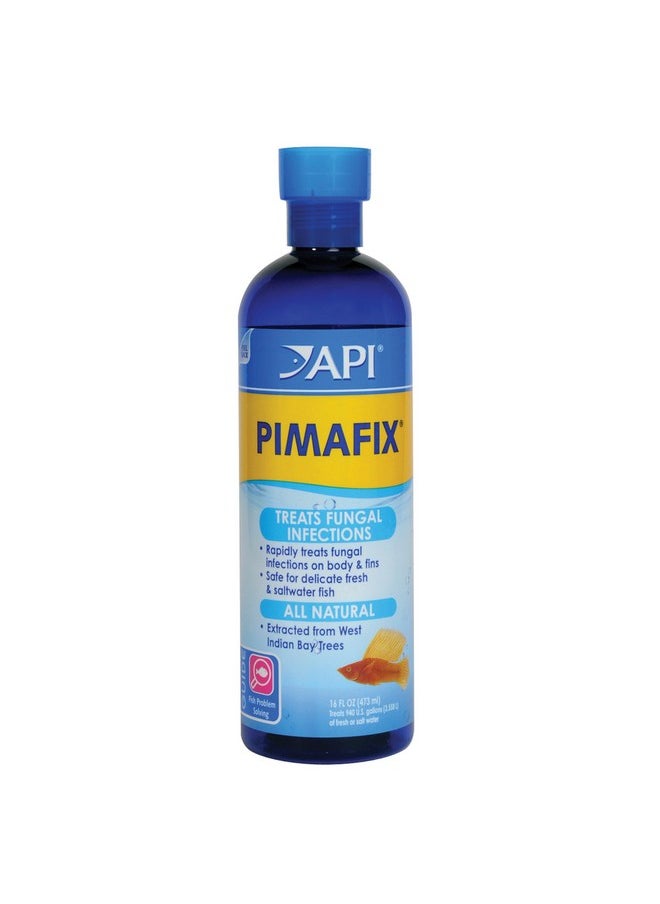 API API PIMAFIX Antifungal Freshwater and Saltwater Fish Remedy 16-Ounce Bottle  - Image 1