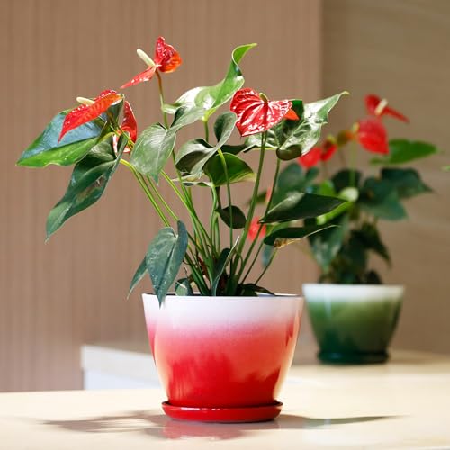 Worth Garden Plastic Round 8" Plant Pots - Set of 6 Multicolor Small Gloss Flower Pot Planters with Drainage Hole and Saucer - Home Decorative Christmas Containers - Image 3