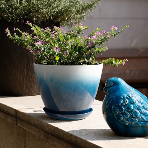 Worth Garden Plastic Round 8" Plant Pots - Set of 6 Multicolor Small Gloss Flower Pot Planters with Drainage Hole and Saucer - Home Decorative Christmas Containers - Image 4