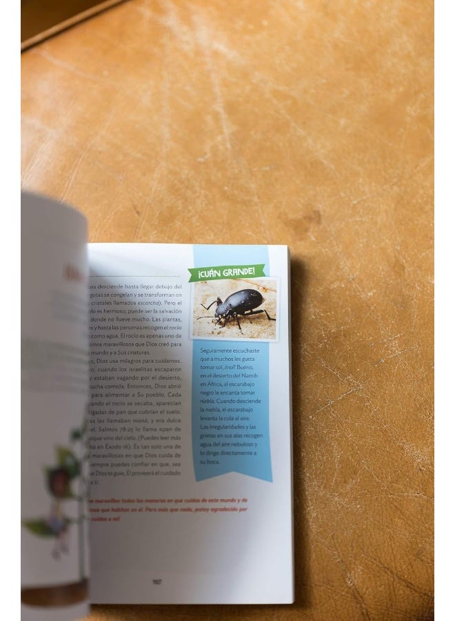 ¡Cuán grande es nuestro Dios!: 100 Devocionales indescriptibles acerca de Dios y la ciencia - Image 3