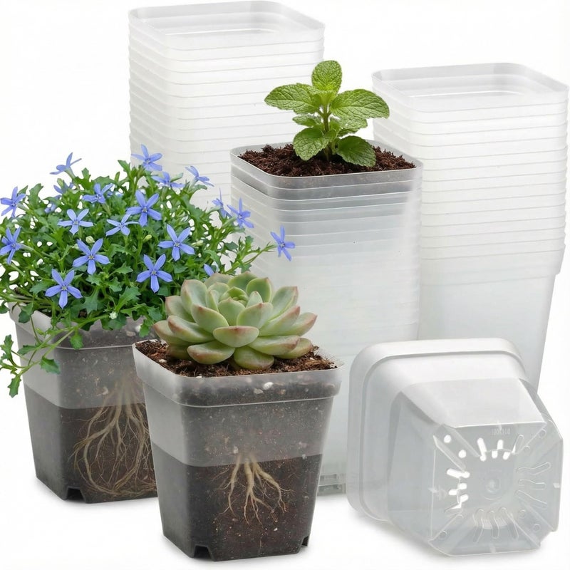 RooTrimmer 60 Pcs Clear Square Nursery Pots 4 Inch, Reusable Seedling Pots with Drainage Holes, Transparent Small Plant Potting Pot Containers for Seedlings Microgreens, Flowers, Indoor Gardening - Image 1