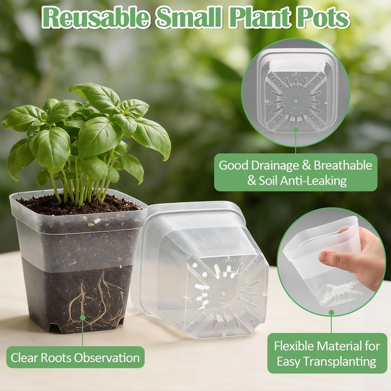 RooTrimmer 60 Pcs Clear Square Nursery Pots 4 Inch, Reusable Seedling Pots with Drainage Holes, Transparent Small Plant Potting Pot Containers for Seedlings Microgreens, Flowers, Indoor Gardening - Image 2