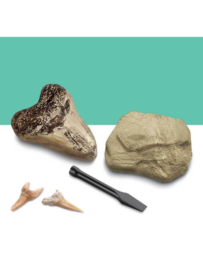 Discovery Mindblown Shark Teeth Unearthed Mini Excavation Kit (2 Pack) - Image 1