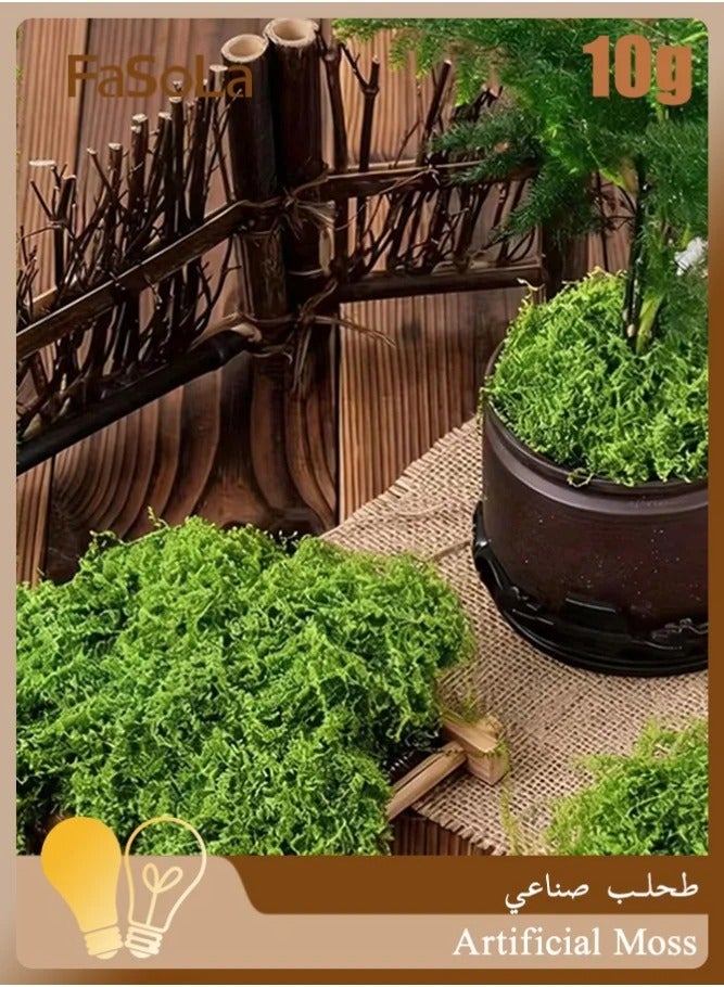 طحلب صناعي 10 جرام، عشب أخضر صناعي قابل للتمدد والتهوية للزراعة المنزلية، ديكور أصص النباتات، أعمال يدوية وإبداعية، لتزيين المنزل والمطبخ (أخضر فاتح) - Image 1