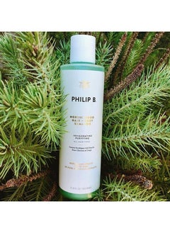 Nordic Wood Hair + Body Shampoo 11.8 oz. (350 ml) | Purifying Hair and Body Shampoo that Lathers Up Luxuriously
