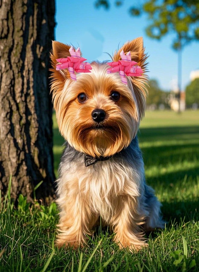 PET SHOW 20 Pack/10 Pairs Pink Curly Dog Hair Bows with Rubber Bands for Small Medium Dogs Girl Spiral Puppy Swirl Topknot Cat Female Holiday Hair Accessories Pet Favor Gift(Pink) - Image 5