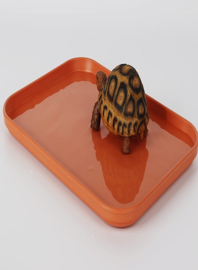WOLEDOE Reptile Large Water Dish, Tortoises Food Bowl - M (11.8 * 8.6 * 0.6) - Image 3