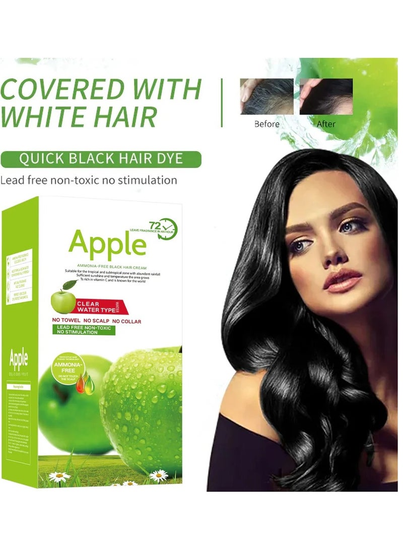 Apple Apple Fruit Black Hair Cream Natural Black Hair Dye - 500ml+500ml - Image 5