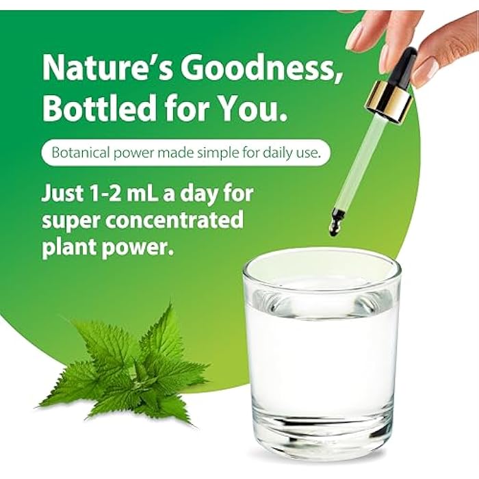 Rainbow Light Nettle Leaf Liquid Extract | 2 Fl Oz | Super Concentrated | Alcohol Free | Non-GMO and Gluten Free Herbal Supplement - Image 4