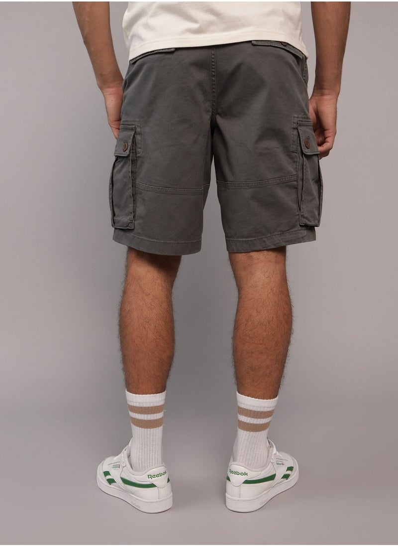 AE Flex Lived-In Cargo Short