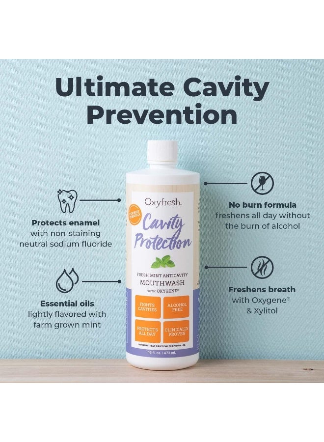 Oxyfresh Cavity Protection Fluoride Mouthwash Anticavity Mouthwash for Sensitive Teeth NonStaining Alcohol Free Lasting Fresh Breath 16 oz - Image 2
