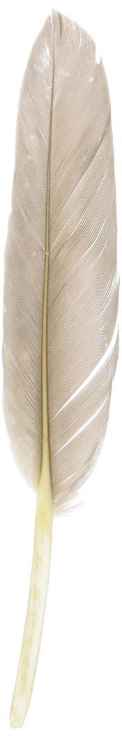 Zucker Feather Natural