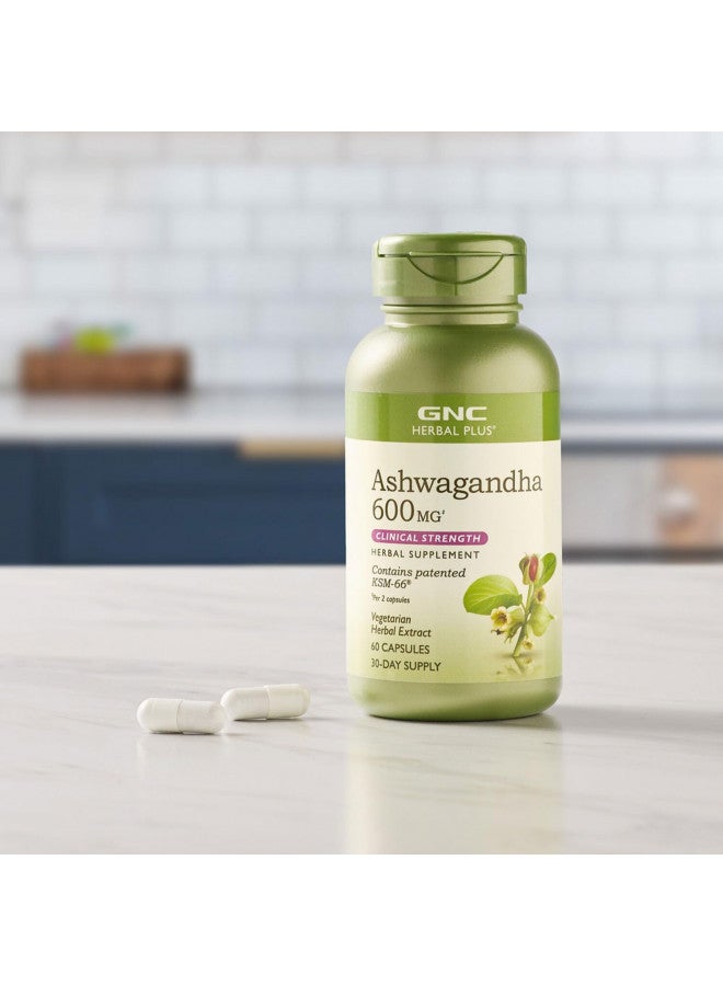 GNC جي إن سي هيربال بلس أشواغاندا 600 ملغ، 60 كبسولة، يدعم استجابة صحية للتوتر - Image 4