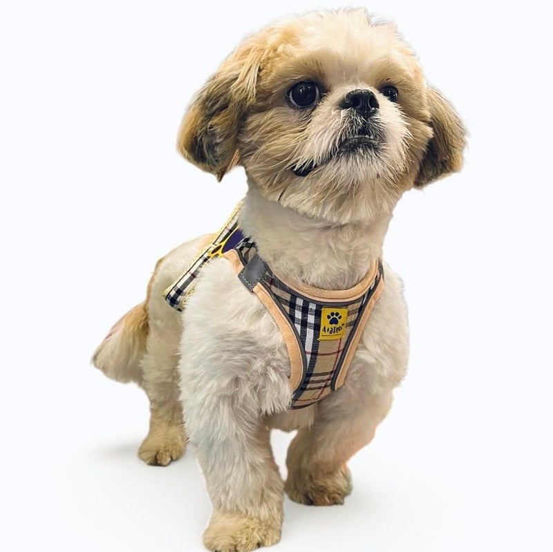 A+a Pets ' Bur-Berry Checks Dogs Harness, Leash and Collar Set for Small Dogs, Puppies and Cats (XL) - Image 1