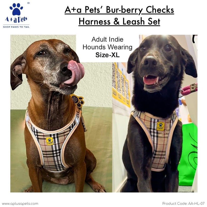 A+a Pets ' Bur-Berry Checks Dogs Harness, Leash and Collar Set for Small Dogs, Puppies and Cats (XL) - Image 5