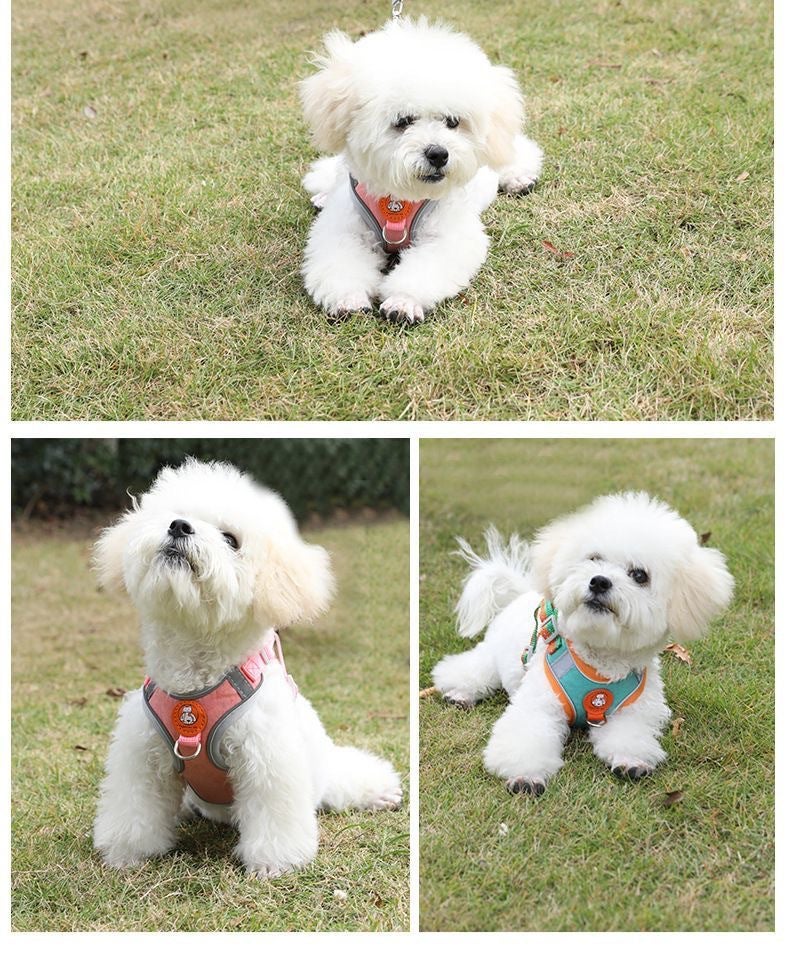 حزام صدر عاكس للحيوانات الأليفة مع مجموعة أطول مقاومة للانزلاق 1.5 متر، حزام صدر قابل للتعديل بدون خنق، أزرق فاتح - Image 4