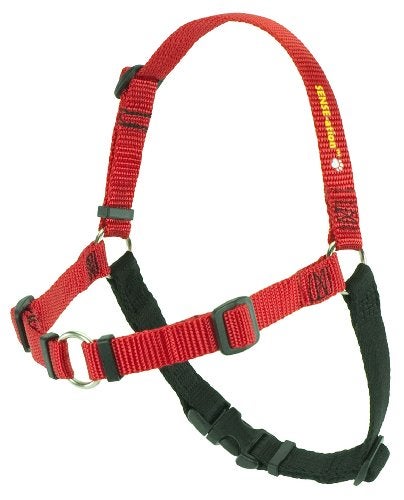 SENSEation NoPull Dog Harness  Red with Black Small by Softouch
