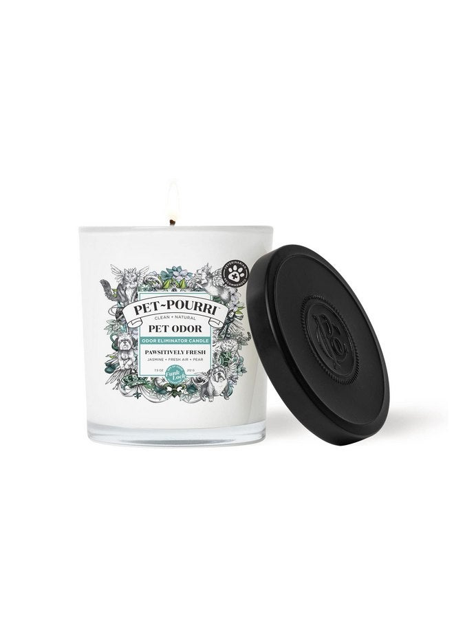 بوو - بوري شمعة معطرة للحيوانات الأليفة من Pet-Pourri، Pawsitively Fresh، 7.5 أونصة - الياسمين والهواء النقي والكمثرى (يوصى بها الأطباء البيطريون) - Image 1