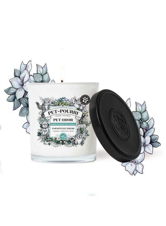 بوو - بوري شمعة معطرة للحيوانات الأليفة من Pet-Pourri، Pawsitively Fresh، 7.5 أونصة - الياسمين والهواء النقي والكمثرى (يوصى بها الأطباء البيطريون) - Image 2