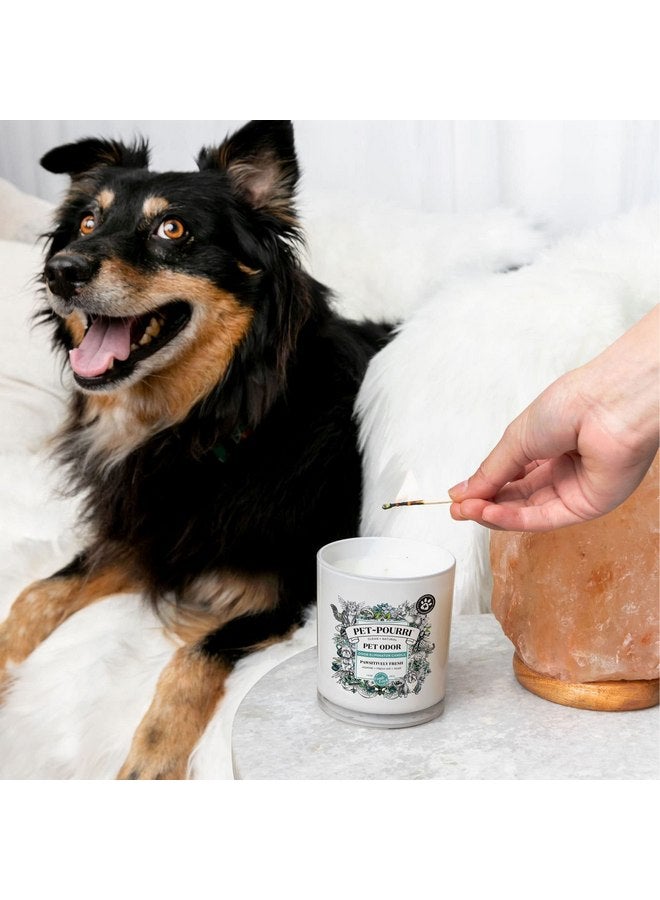بوو - بوري شمعة معطرة للحيوانات الأليفة من Pet-Pourri، Pawsitively Fresh، 7.5 أونصة - الياسمين والهواء النقي والكمثرى (يوصى بها الأطباء البيطريون) - Image 3