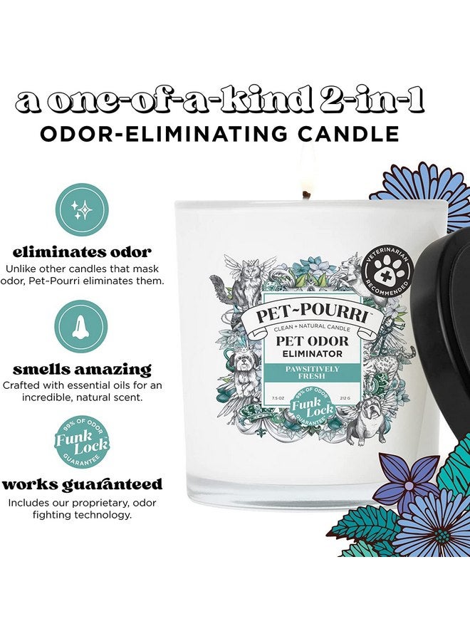 بوو - بوري شمعة معطرة للحيوانات الأليفة من Pet-Pourri، Pawsitively Fresh، 7.5 أونصة - الياسمين والهواء النقي والكمثرى (يوصى بها الأطباء البيطريون) - Image 5